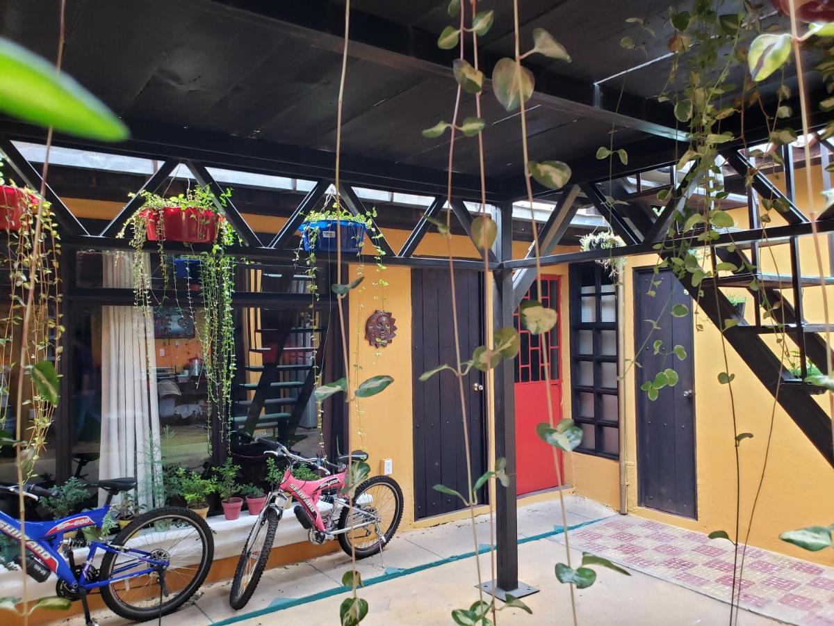 アンティグア・グアテマラ Parrot House Bed & Breakfast エクステリア 写真