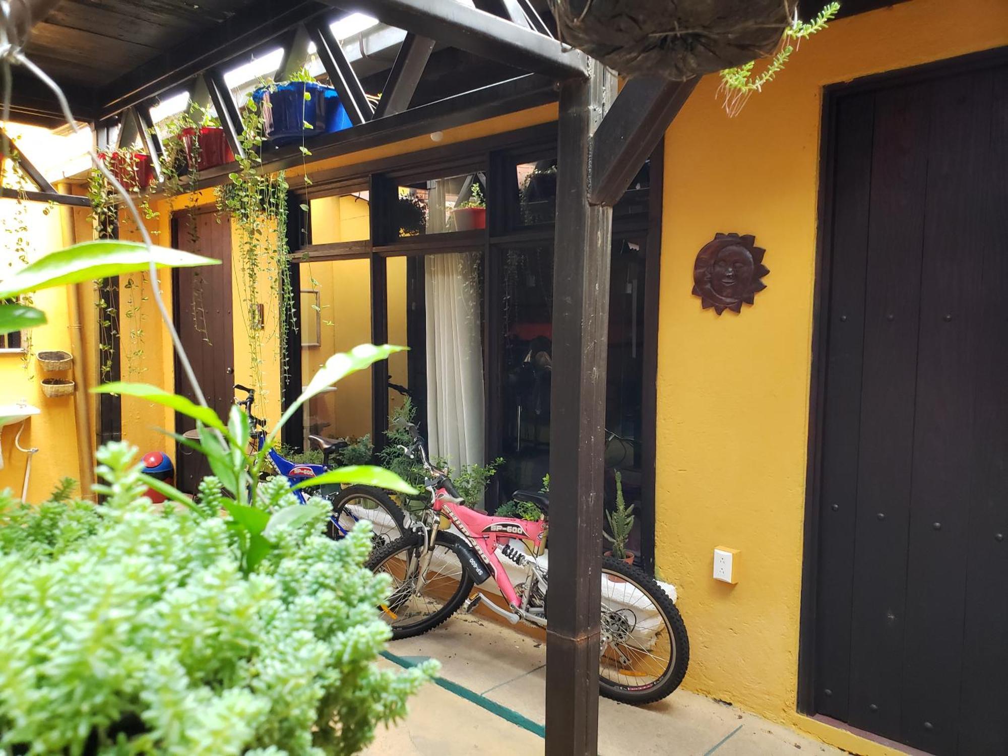 アンティグア・グアテマラ Parrot House Bed & Breakfast エクステリア 写真