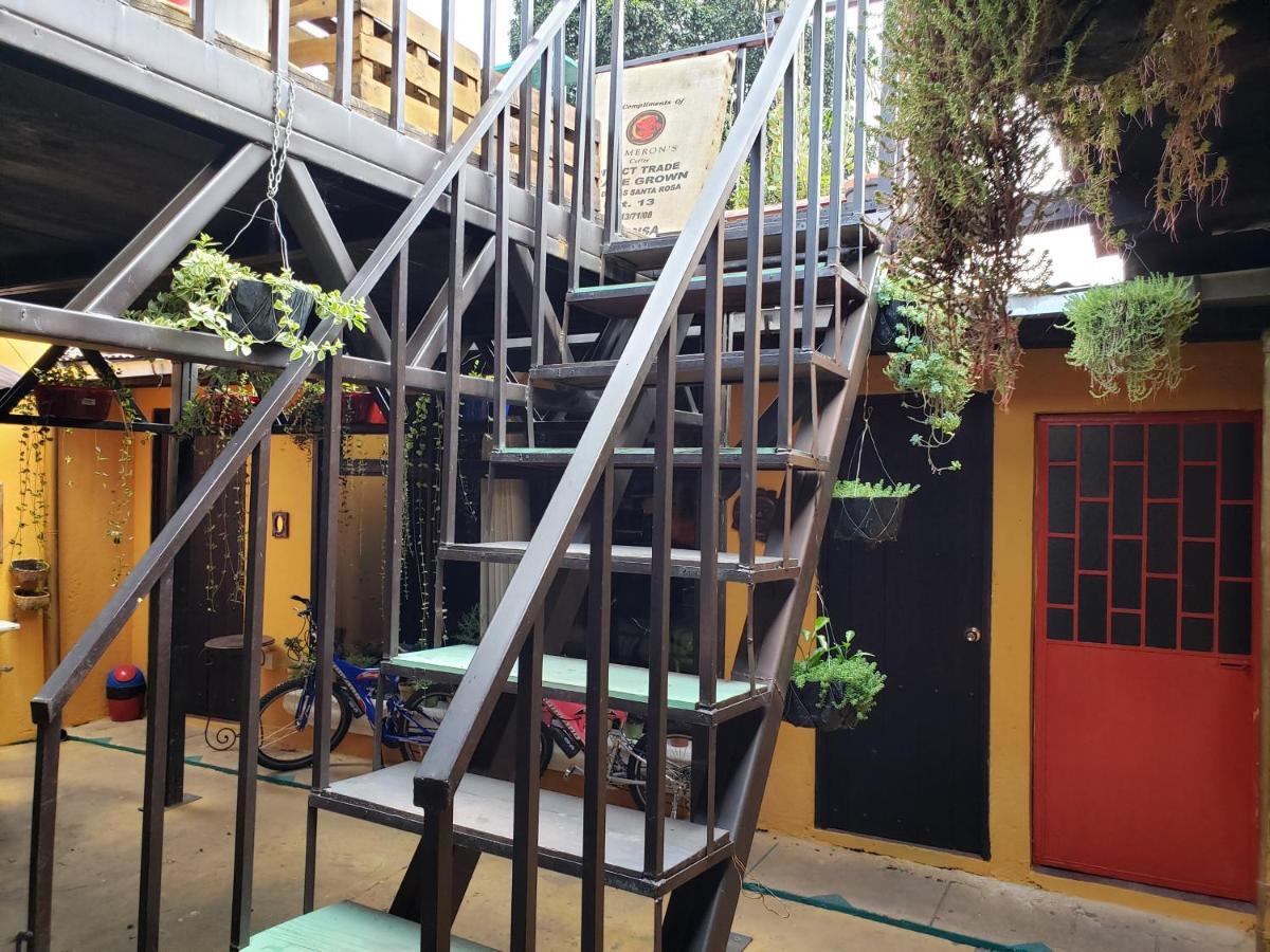アンティグア・グアテマラ Parrot House Bed & Breakfast エクステリア 写真