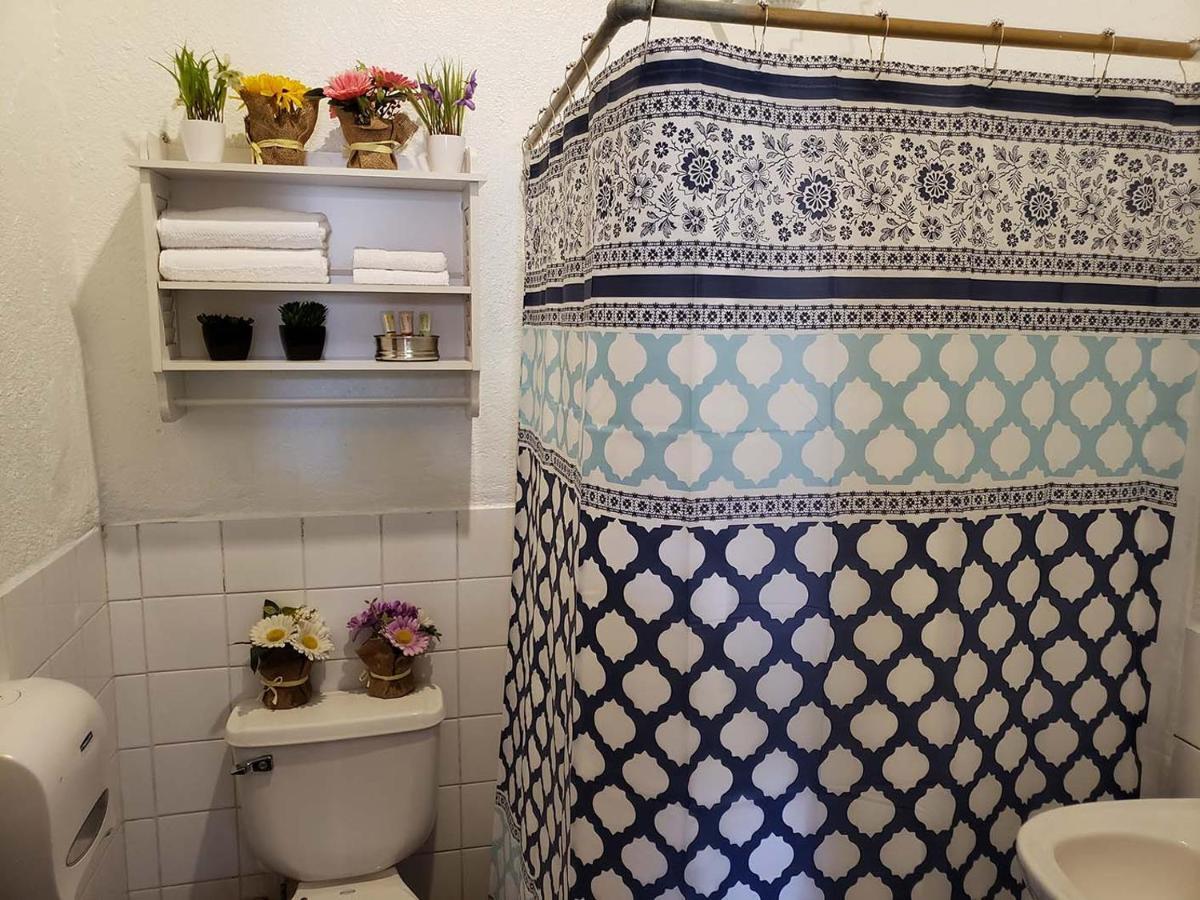 アンティグア・グアテマラ Parrot House Bed & Breakfast エクステリア 写真