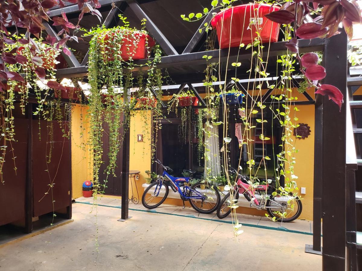 アンティグア・グアテマラ Parrot House Bed & Breakfast エクステリア 写真