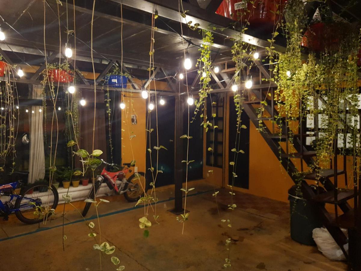 アンティグア・グアテマラ Parrot House Bed & Breakfast エクステリア 写真