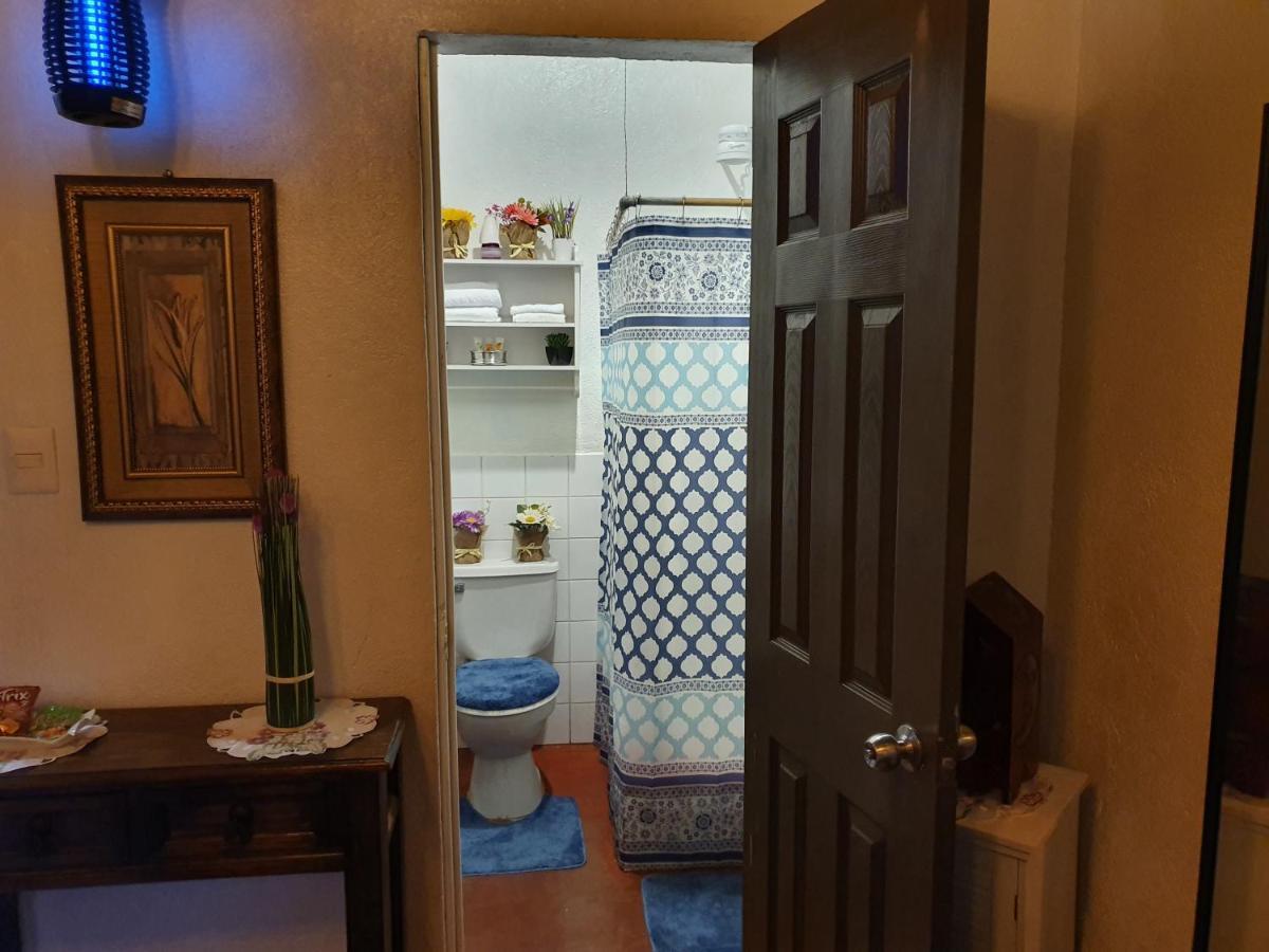 アンティグア・グアテマラ Parrot House Bed & Breakfast エクステリア 写真