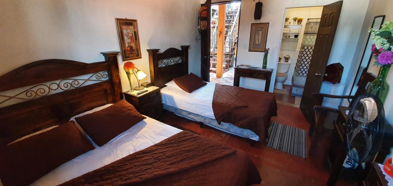 アンティグア・グアテマラ Parrot House Bed & Breakfast エクステリア 写真