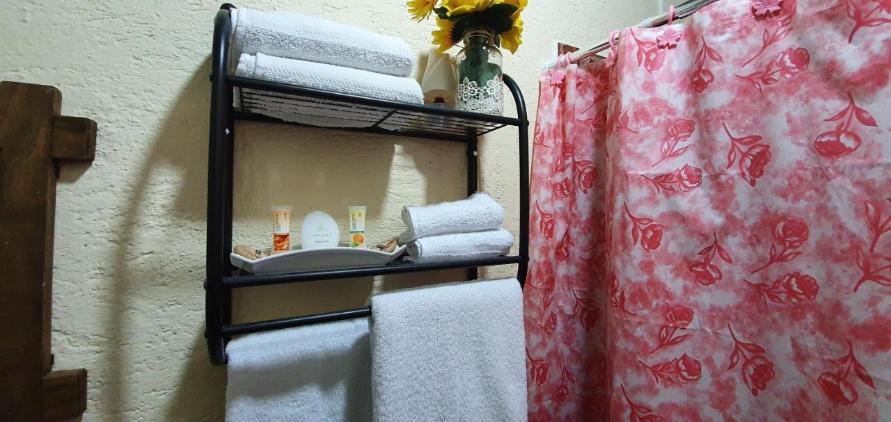 アンティグア・グアテマラ Parrot House Bed & Breakfast エクステリア 写真